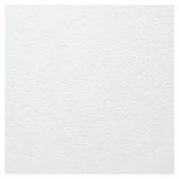 Потолочная плита Армстронг BIOGUARD PLAIN 90RH Board 600x600x12